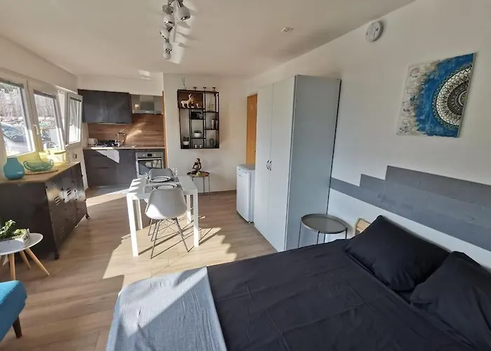 Cocon Valaisan Appartement *